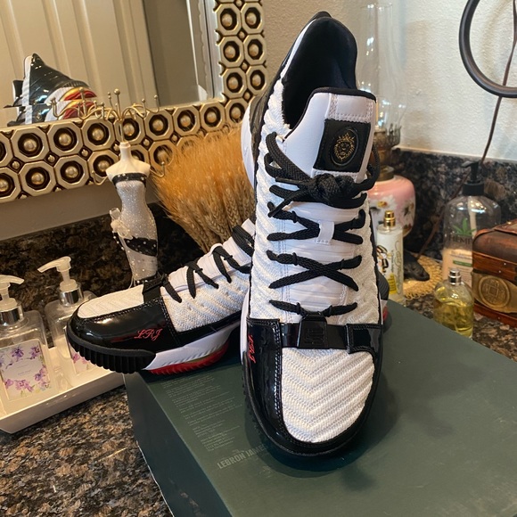 Nike Lebron xvi sb black n white shoes